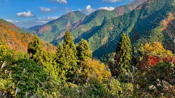 Brad In Japan: Going Natural